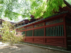 P1040753