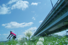 arakawa under the bridge
