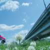 arakawa under the bridge