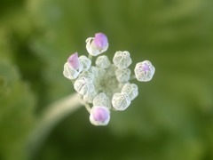 春は近いのかな？