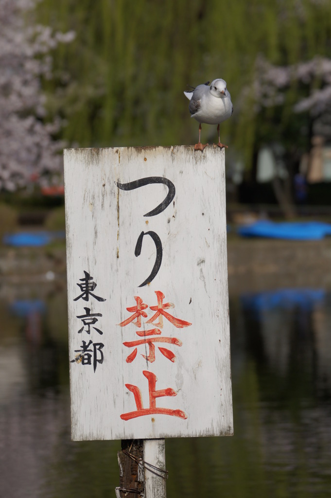 警告！