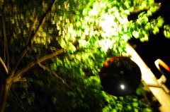 yomichi12