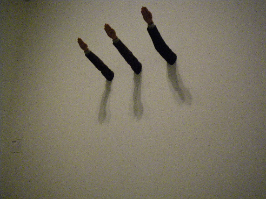 IMGP0367