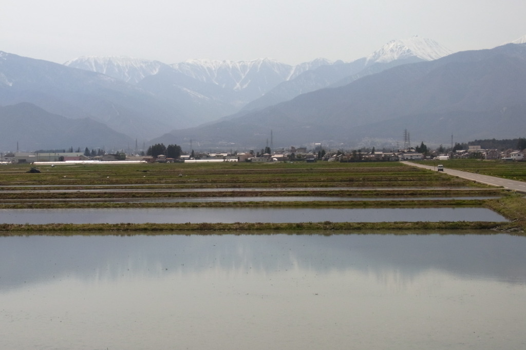 田園