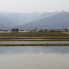 田園