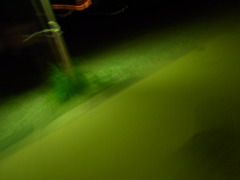 yomichi8