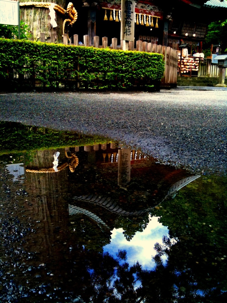 雨上がりの参拝