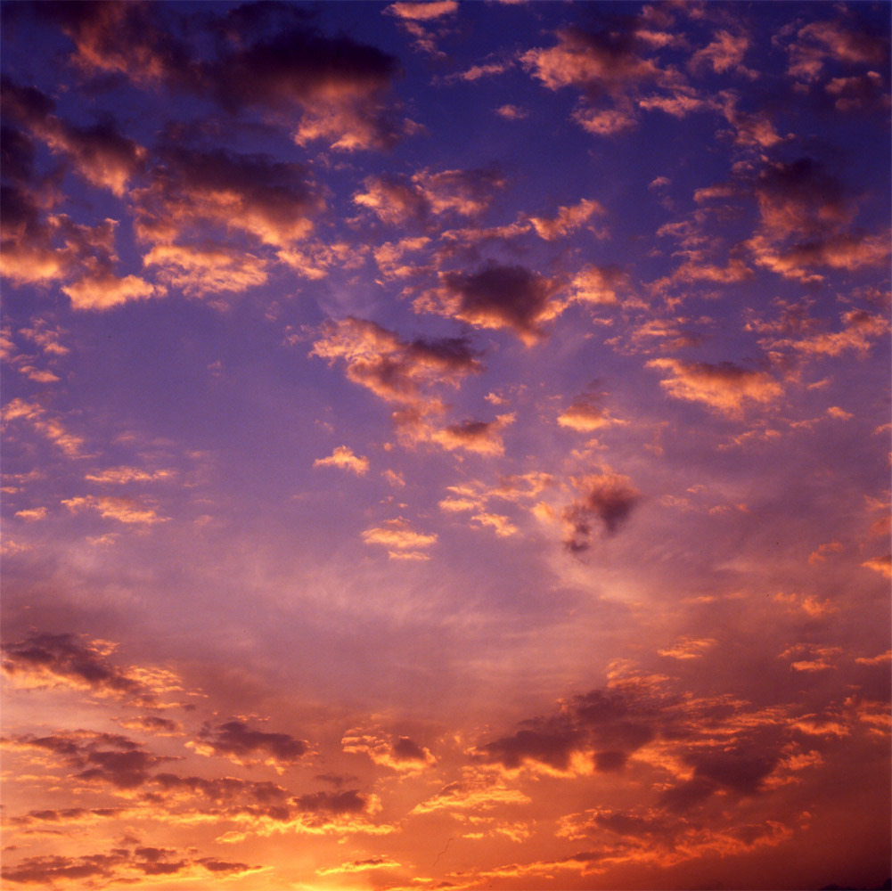 茜に染まる空