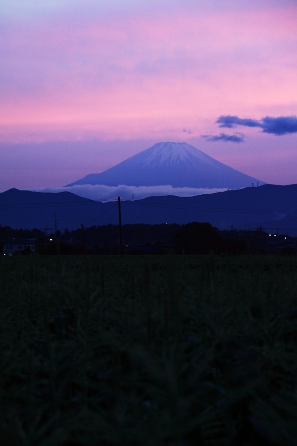 今日の夕景#3（富士＃２）