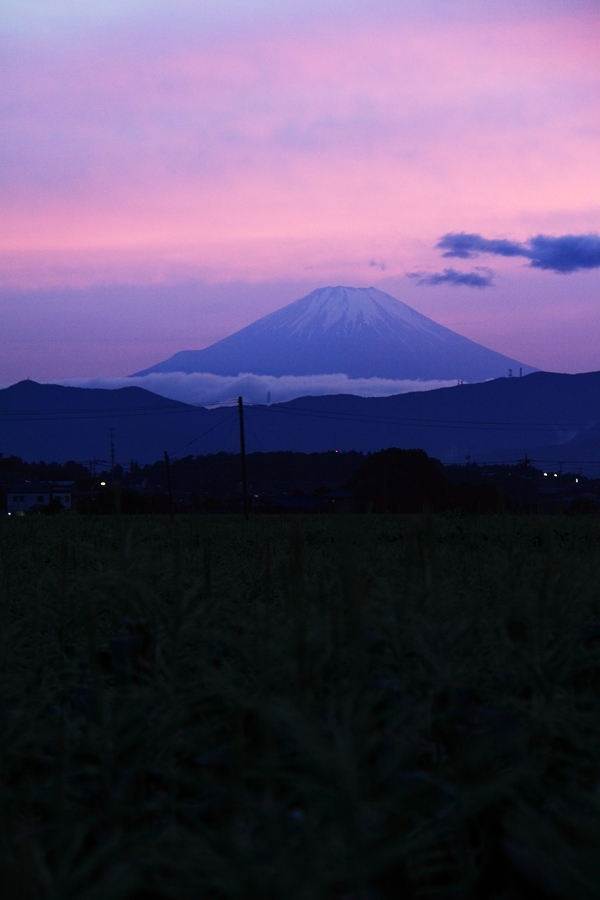 今日の夕景#3（富士＃２）