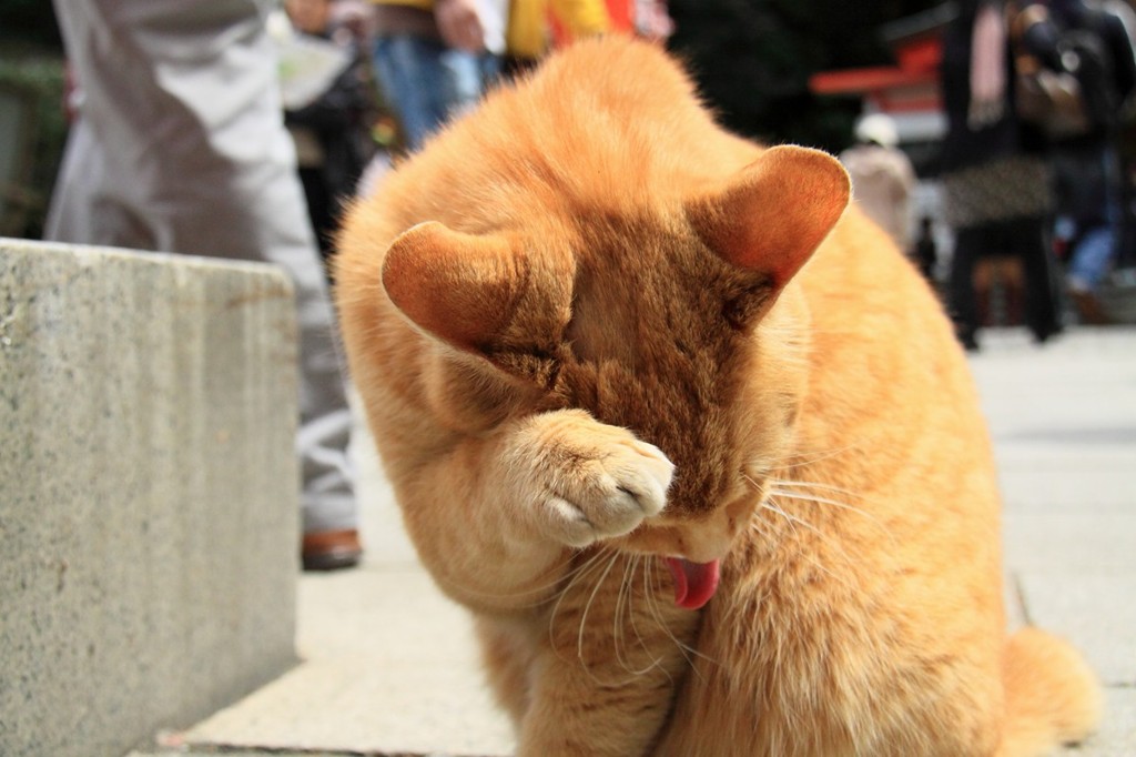 嘘泣き