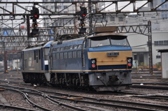 CSC_2093-2