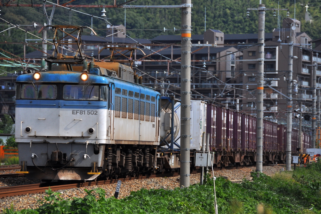 CSC_1321-0