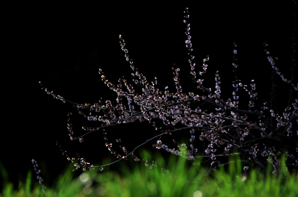 奈良県五條市 西吉野町