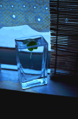 Blue in