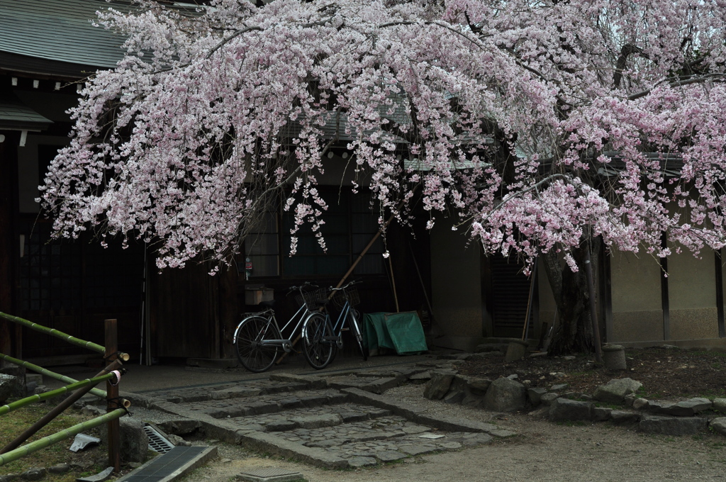 奈良県奈良市 氷室神社