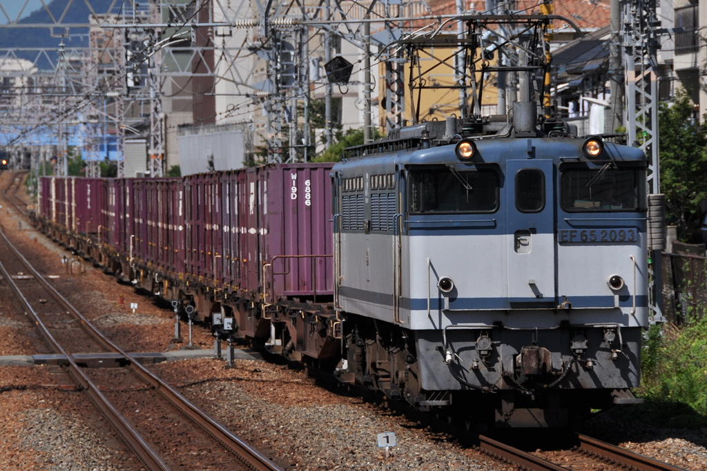 CSC_0789-0
