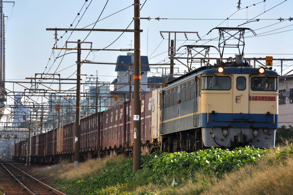 CSC_2103-0