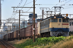 CSC_2103-0