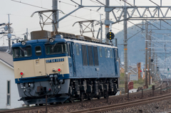 EF64 1022 [8865ﾚ]