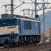EF64 1022 [8865ﾚ]