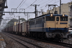 CSC_2667-02