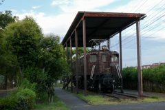 1000022561