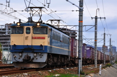 CSC_2308-0