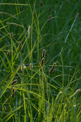 P1000513