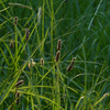 P1000513