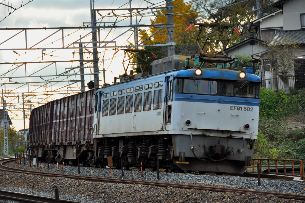 CSC_2487-00