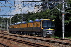 CSC_0823-0