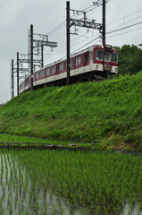 新田を行く