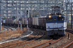 CSC_1739-0
