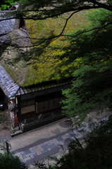 嵯峨の間