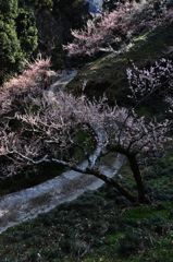 奈良県五條市 西吉野町