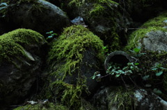 奈良県五條市 西吉野町