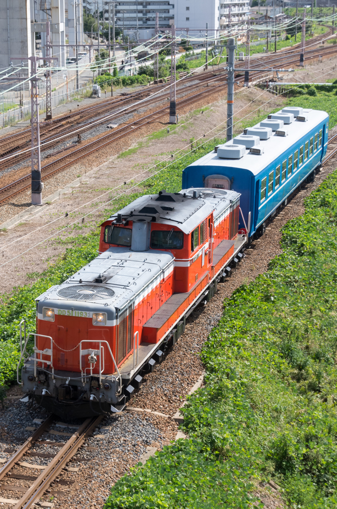 DD51 1193+オハ12