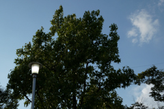 P1000502