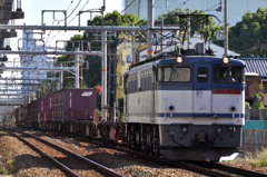 CSC_1319-0