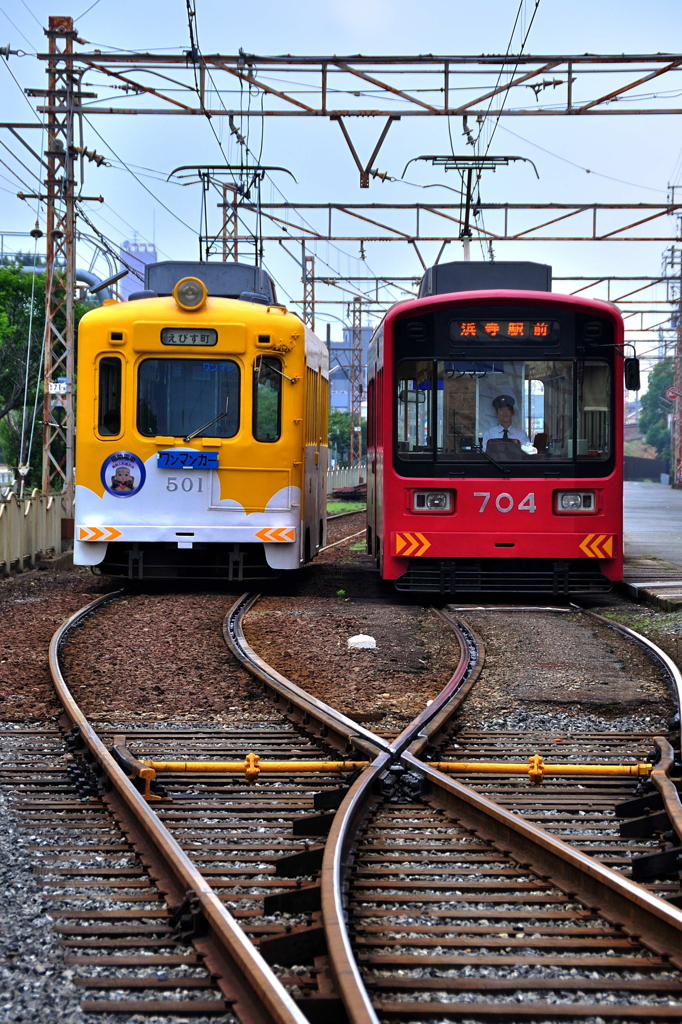 並んだ赤白黄色