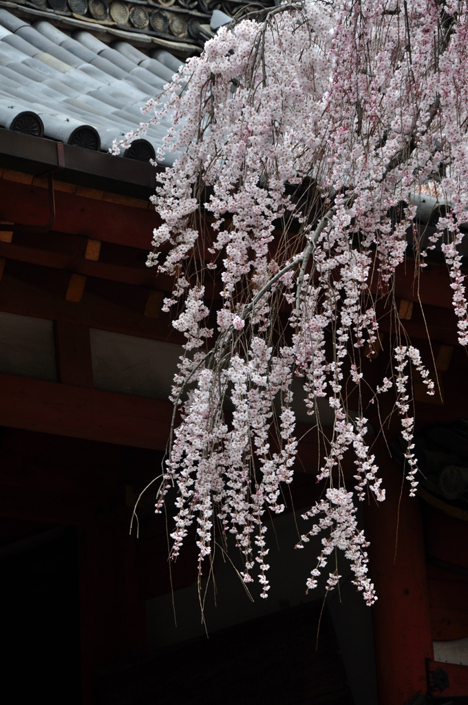 奈良県奈良市 氷室神社