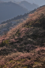 奈良県五條市 西吉野町