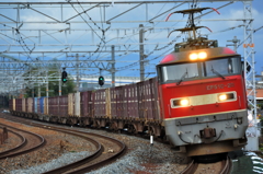 CSC_2493-0