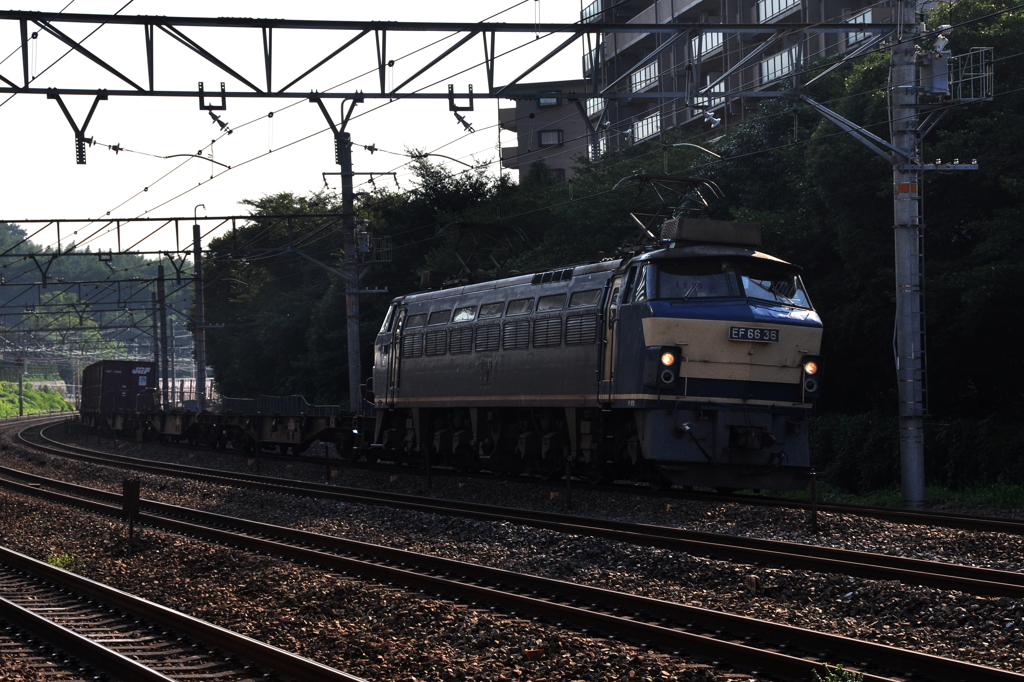 CSC_0814-2