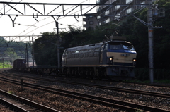 CSC_0814-2