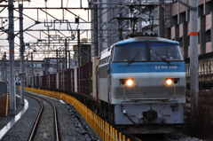 CSC_2096-0