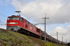 CSC_1979-0