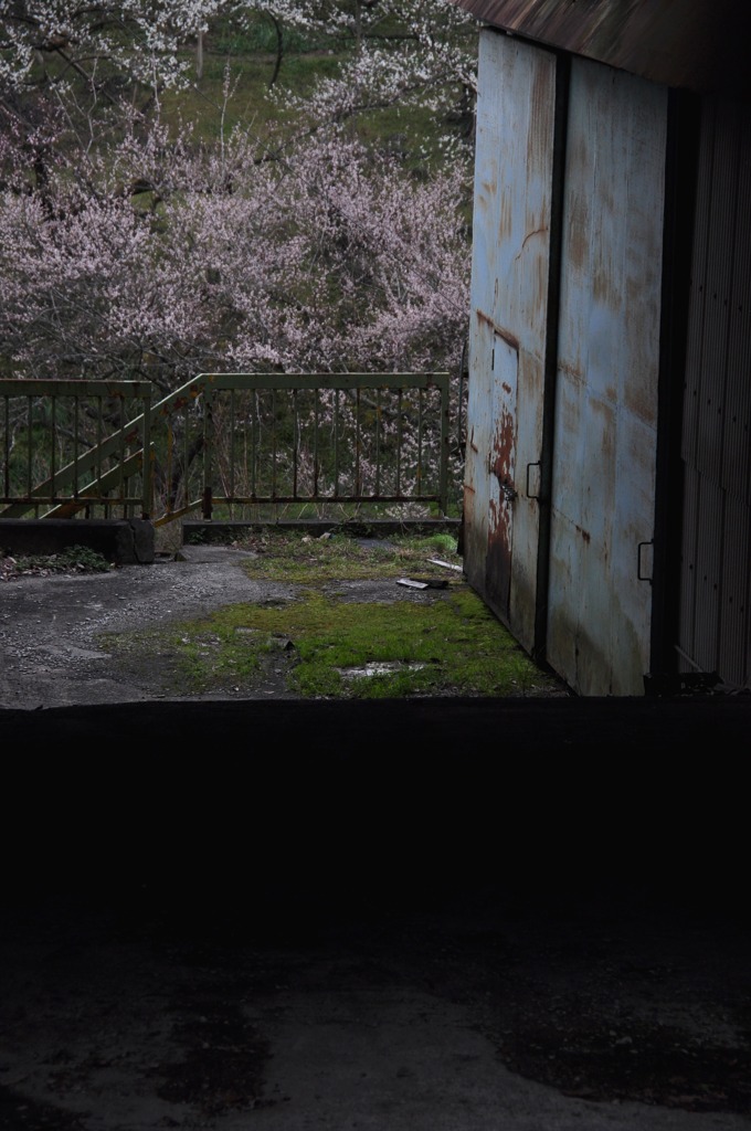 奈良県五條市 西吉野町