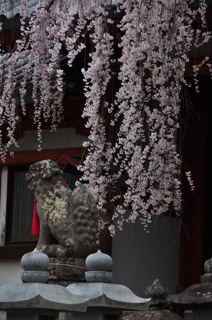 奈良県奈良市 氷室神社
